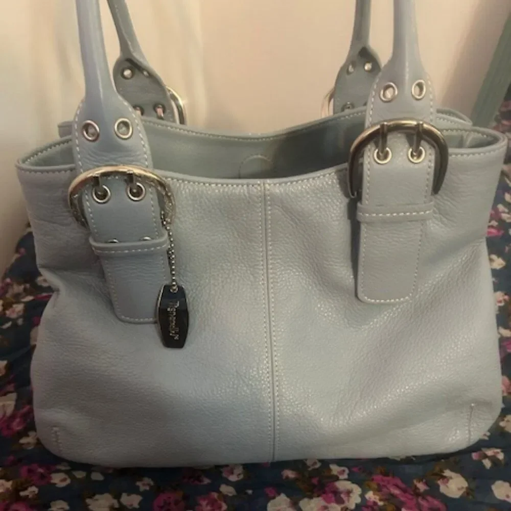 Tignanello Robin Egg Blue leather double handle shoulder bag